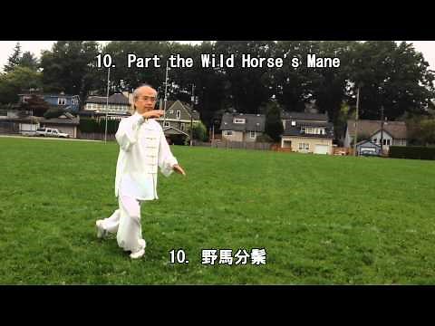 32 Form Tai Chi (Back View) (2013.09.14)