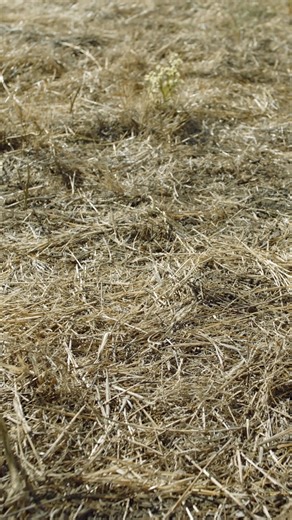 Your printer problems are over. With HP All-In Plan, get a new printer, automatic ink delivery, and 24/7 support for one low monthly price. | HP