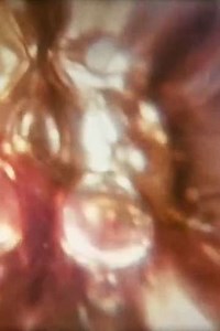 Aphrodisiac I - Movie