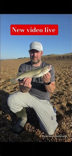 Cod on the Pebbles uk seafishing cod hunting Chesil Beach #short