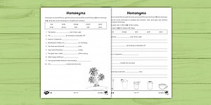Multiple Meaning Words Differentiated Activity Sheets