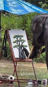 Amazing painting by an elephant | Animals World , Nature & Quotes