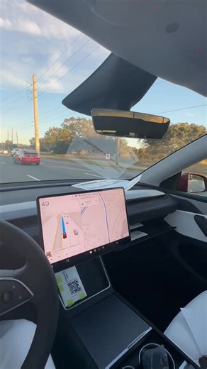 Lucy enjoying Full Self Driving (Supervised) in her new 2026 Tesla Model Y. Game changing technology-- and no lidar needed! | Jonathan Gilbart