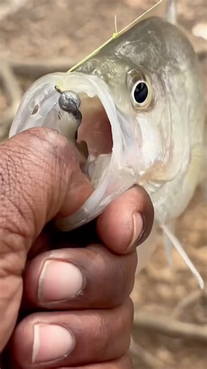 Only Need A Few More