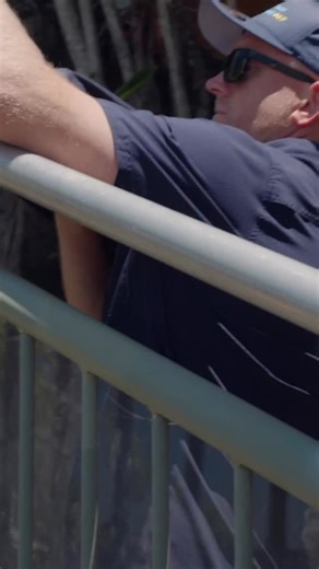 9.3K views · 854 reactions | Yellow-Faced Whip Snake went for a swim...