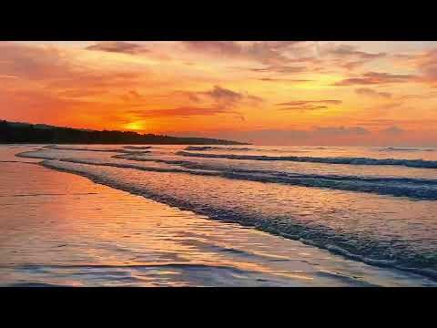 Calming Beach ASMR | Soft Waves, Seagulls & Breeze for Peaceful Sleep and Deep Relaxation