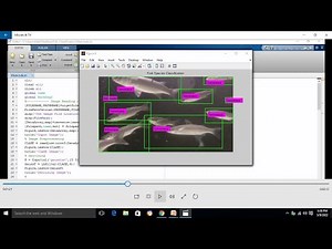Underwater Fish Species Detection and Classification