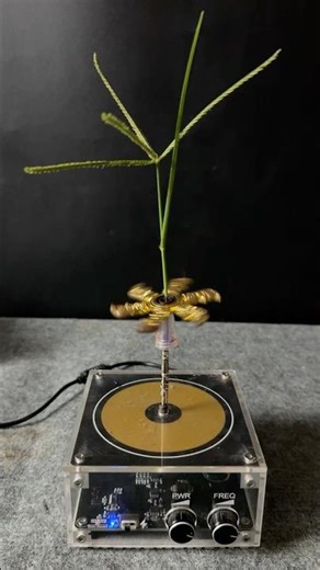 Tesla coil + spiner + Plants