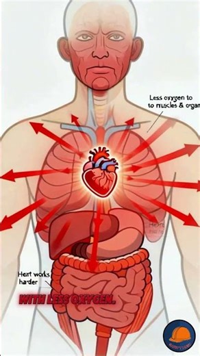 🌡️ "Why hydration FAILS during extreme heat stress." #industrialsafety #safetyshorts #hse #science