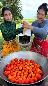 1.6M views · 8.6K reactions | How to cook crab with tomato recipe | Primitive Art | Facebook