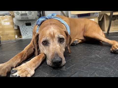 Personalized Gifts for Men - Groovy Guy Gifts