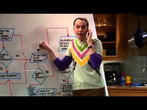 Diagrama de Flujo de la amistad Sheldon Cooper