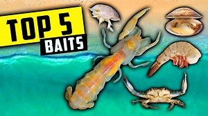 7.4K views · 116 reactions | Top 5 Baits for Catching Pompano! | Phil Hollandsworth | Facebook