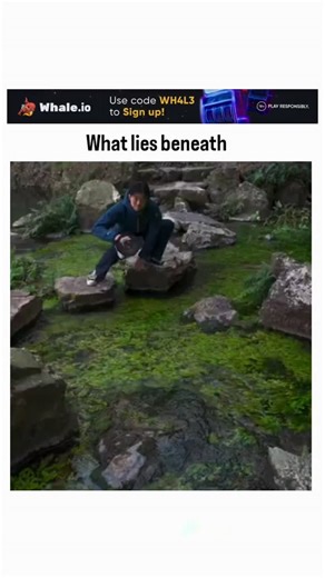 inavinate01 on Instagram: "The video captures a craftsman using a power tool to gently remove layers of moss and algae from submerged stone frog sculptures, revealing intricate ancient carvings in a tranquil pond environment, aligning with the caption's intrigue about hidden depths. Posted by @sciencegirl , an account blending science, art history, and visual puzzles, this content fits her pattern of showcasing concealed natural or artistic marvels, such as camouflaged frogs or multi-layered sto