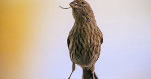 2025 Reader’s Lens photo gallery