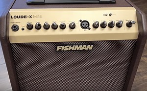 Fishman LoudBox Mini w/Bluetooth Review