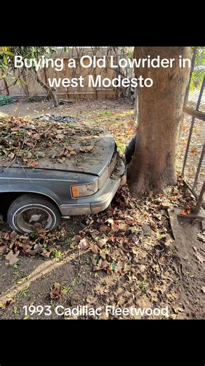 Buying a Classic Lowrider Cadillac Fleetwood