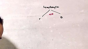 #Acquired_Immunity #Lymphocytes Production and Maturation For Full Lectures Contact us at 0333 9316906 | Up Teaching Academy