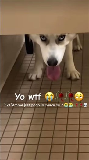 like bro where are flying cars🥀💀😭