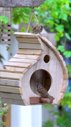 Make Your Own AMAZING Bird Feeder For Backyard Fun #diy #crafts #birdlovers #shorts
