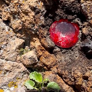 33K views · 296 reactions | Mind-Blowing Discovery: I Found Real Diamonds Worth Millions of Dollars in the Wild | Adventure man | Facebook