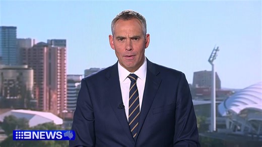 A major boost is being given to tackle growing concerns of youth and gang crime in South Australia. #9News | 9 News Adelaide