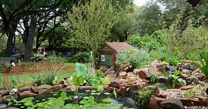 Central Texas Gardener:Pond & Bog Plants with Pizazz! Season 24 Episode 23