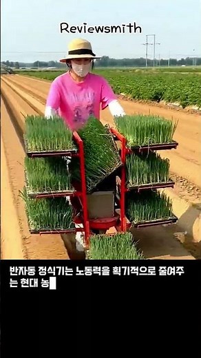 밭일이 이렇게 쉬웠어? 작업 속도 10배 올려주는 마법의 농기계 #worker #process #farming #amazing #machine