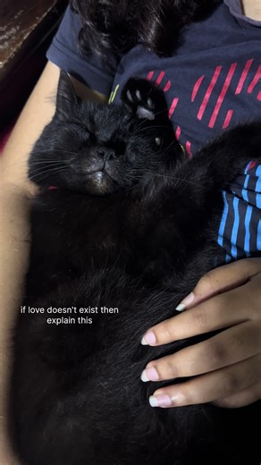 My little baby 🥹 #cat #viral #trending #fyp #love