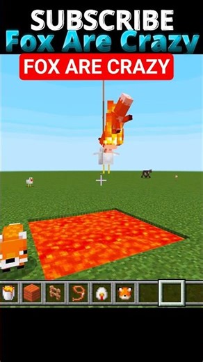 🦊🔥 "Minecraft Foxes Gone Wild — They Keep Jumping Into Lava #Minecraft #MinecraftShorts