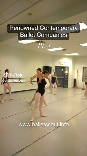 The Ballet Scout on TikTok