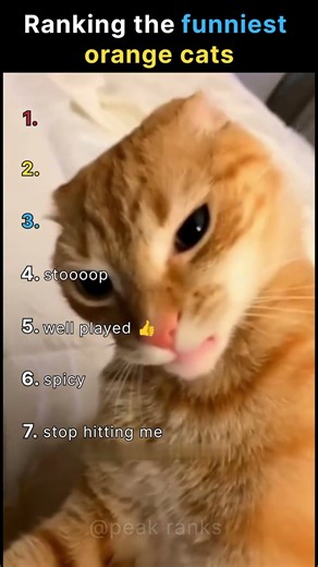Ranking the Funniest Orange Cats 😹🧡 #orangecats #funnycat #shorts
