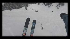 Slash, blast, carve, rip through and float over everything the mountain throws at you with The Wildcat. | Moment Skis