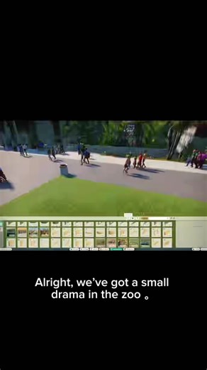 Rebuilding a monkey habitat 🐒 Vertical design, quiet sleeping area, less stress = better behavior. Did I do the right thing or not?