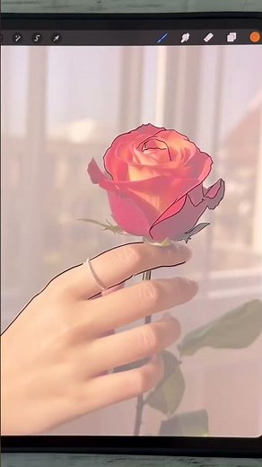 How to Trace over a photo in Procreate! Easy tutorial for beginners +Freebie!