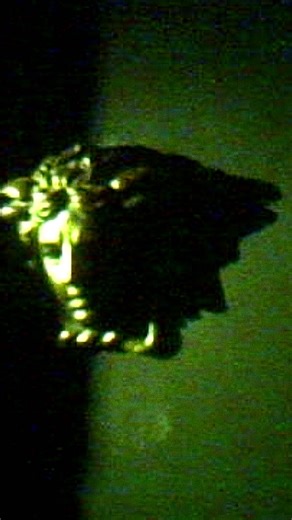 VERSACE on Instagram: "Versace Spring Summer 2026 unveiled at the Pinacoteca Ambrosiana, Milan."