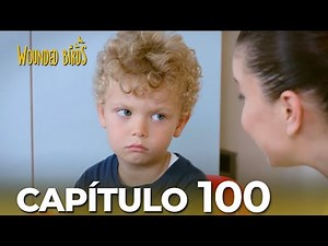 Todos Los Capítulos De Omer Sueños Robados En Español - Crampton, el lugar donde te informas