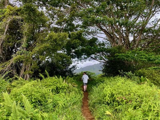 11 Fun Things to do in Kapa’a, Kauai, Hawaii - Mommy Travels