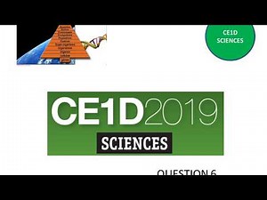 CE1D Sciences 2019 - question 6 + corrigé
