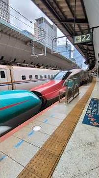 【東京駅だよ】日本の中心は凄いね