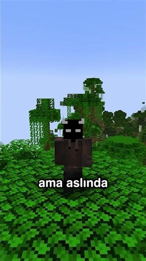 Minecraft'ın Gizli Sekmesi!! ⛏💎