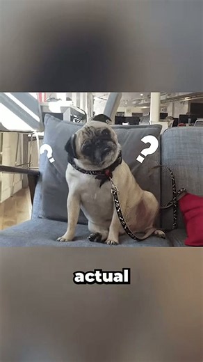 Center of mass vs. center of gravity: What’s the real difference?