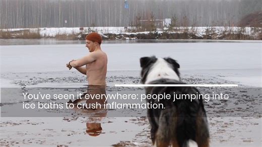 Cold Plunge Science: Why It First Spikes Inflammation