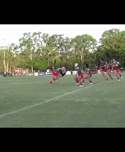 Catching Seagulls: Feeding and Birdwatching Tips