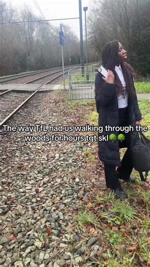 TfL's Unexpected Trek Through the Woods