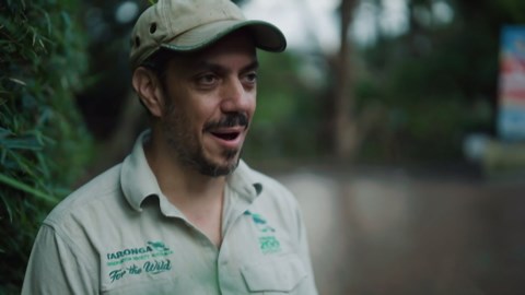 Taronga Zoo’s last pair of elephants leave for South Australian plains