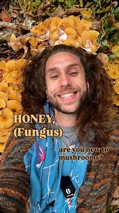 3.4K views · 523 reactions | HONEY, (fungus) are you new to...