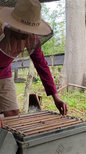 Add a new hive for the bees