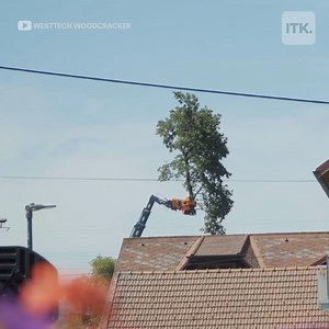 1.6M views · 177 reactions | These incredible tree-cutting machines slice through wood like butter   Check out more machines on ITK: https://bit.ly/3tbZeT9 | In The Know | Facebook