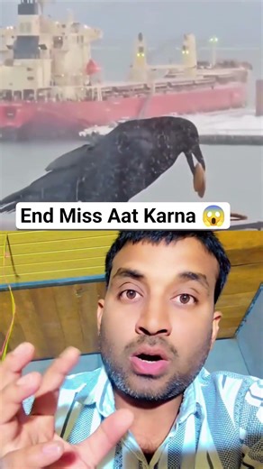 2026 Ka Bhukha Kauwa! 😂 | Smart Crow Funny Video #shorts